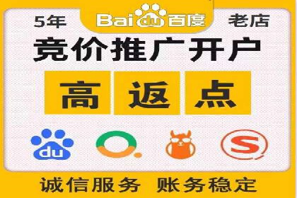 SEM运营推广助力行业领导地位